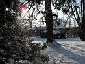2010-01-05, Schnee (8)